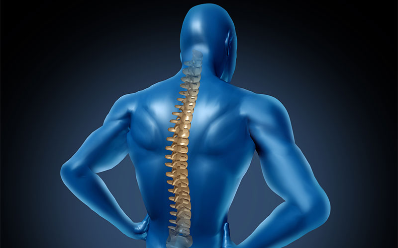 How Chiropractic Care Can Improve Your Spinal Hygiene